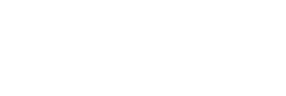 Cody The Robosapien