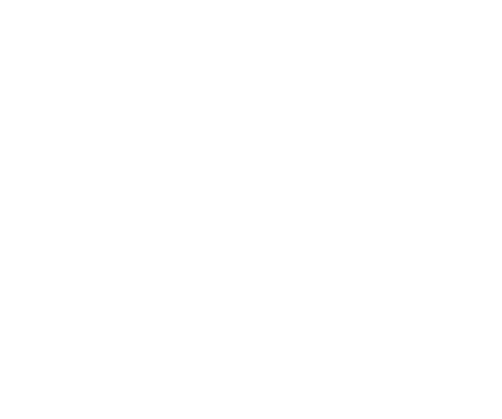 The Spy Next Door