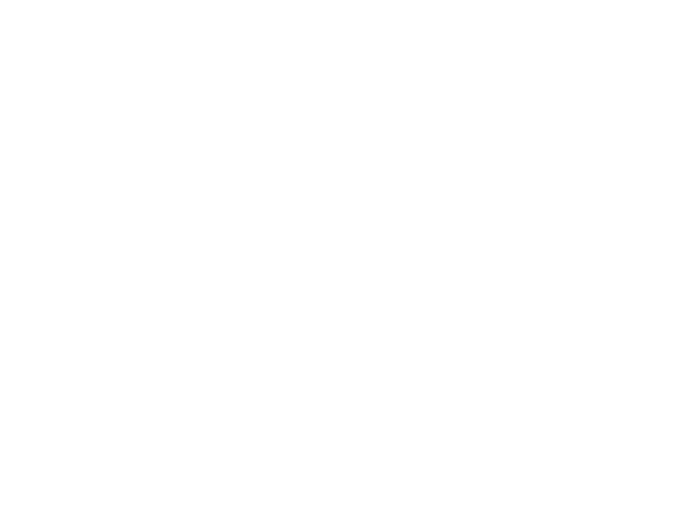Heidi Rescue of the Lynx