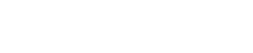The Longshots