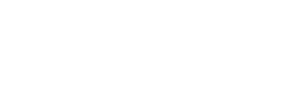 Snow Bear