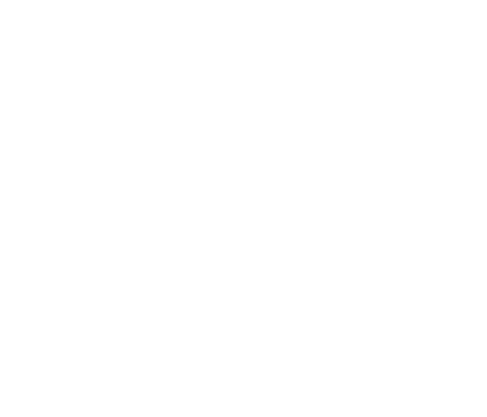 Lily's Driftwood Bay