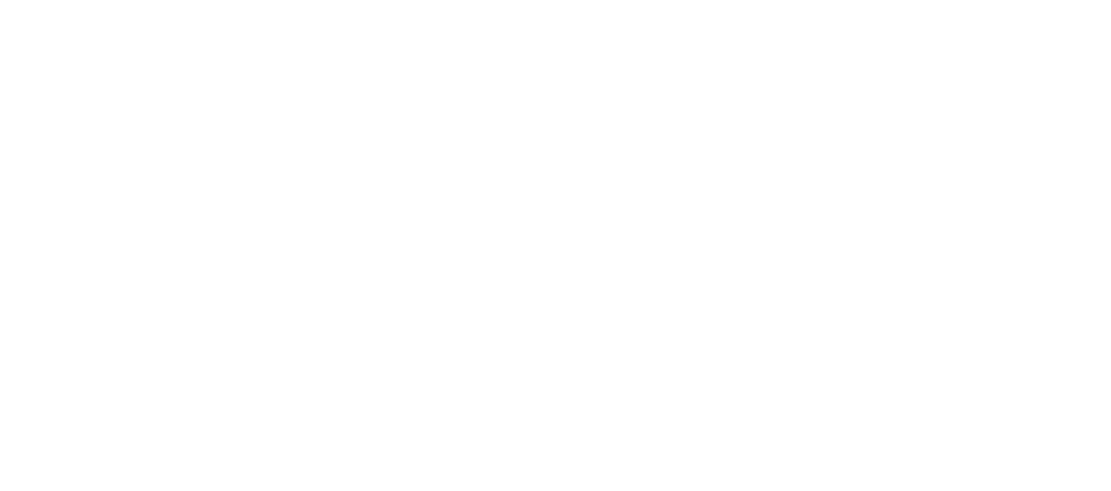 The Perfect Race
