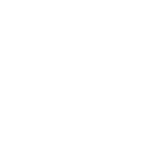 The Riot and the Dance Series
