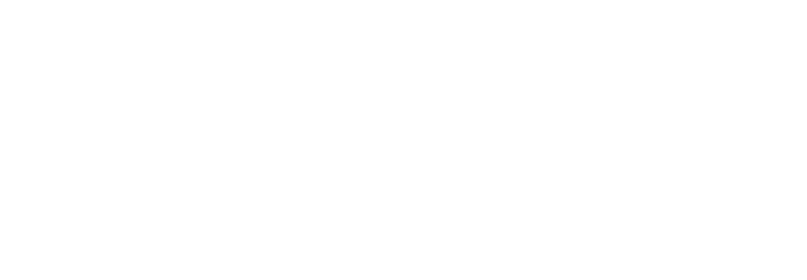 Jungle Beat 2: The Past