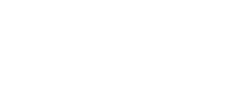 Orphan Horse