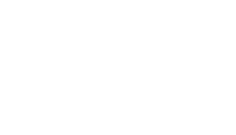Jungle Beat: The Movie