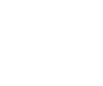The Spy Next Door