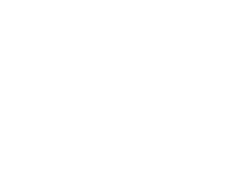 Heidi Rescue of the Lynx