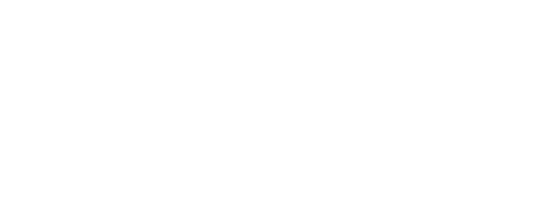 Snow Bear