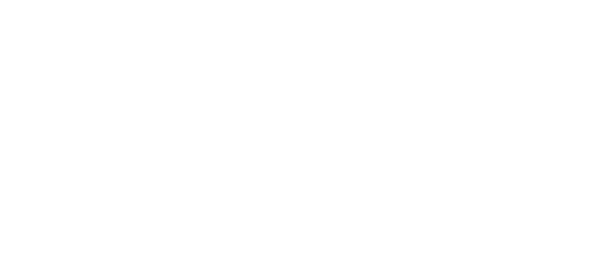 Christmas Roses