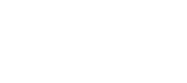 Mary 4 Mayor