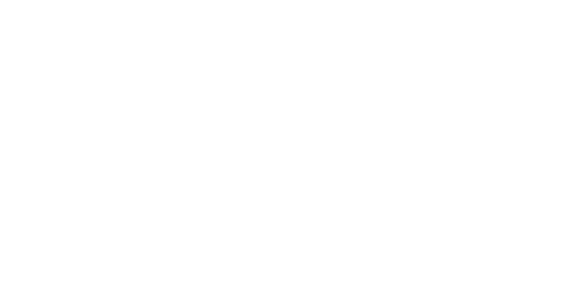 Festival Of Trees