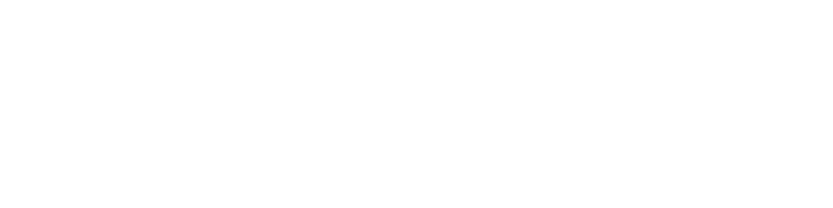 The Last Champion