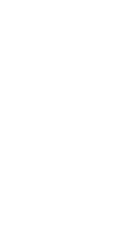Steve Soelberg - We Say Bim