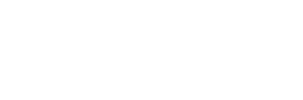 Tim Homayoon - Ex Boy Scout