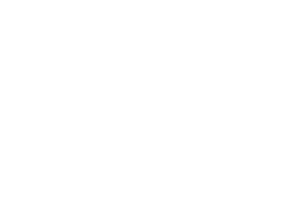 Jungle Kids: with the Wild Brothers