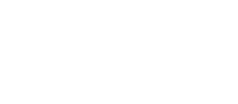 Flip Schultz - Tortuga!