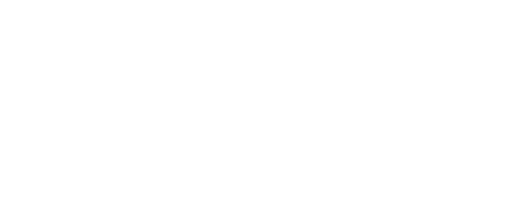 The Basket