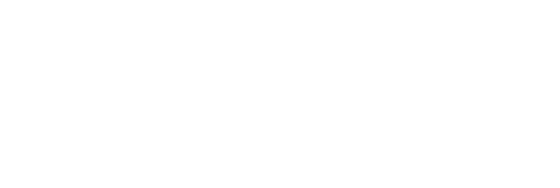 Cody The Robosapien