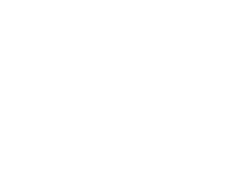 The Spy Next Door