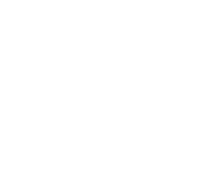 Lily's Driftwood Bay
