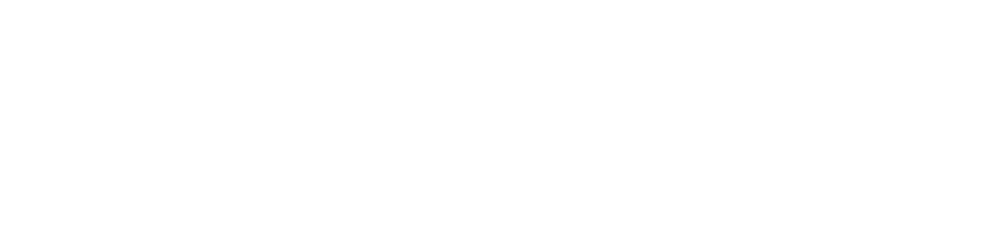 The Last Champion