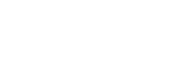 Shayne Smith - Alligator Boys