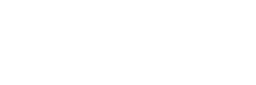 Tim Homayoon - Ex Boy Scout