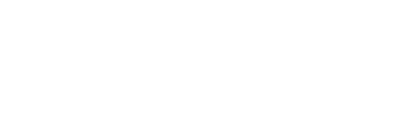 Bird Boy