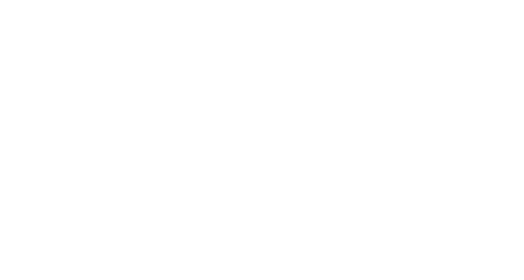 Chas Elstner - Life in the Fast Lane