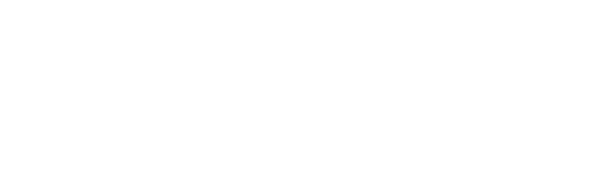 David Rodriguez - The Great Indoors