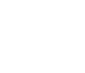 Willie Macc - Dads, Grandmas and Bears, Oh My!