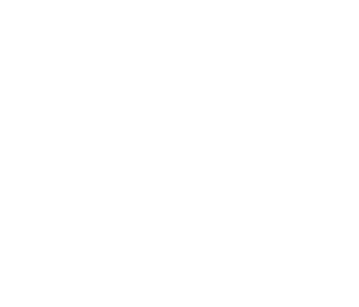 Lily's Driftwood Bay
