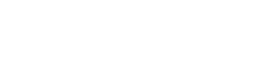 Young Warriors