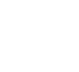 The Riot and the Dance