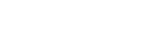 The Stray