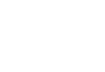 Jungle Kids: with the Wild Brothers