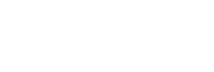 Cody The Robosapien