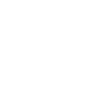 The Riot and the Dance