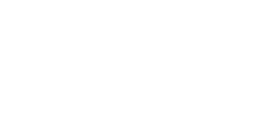 My Neighbor