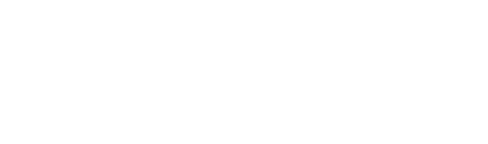 Dot Conner: Webtective