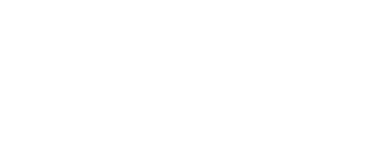 Surviving The Wild