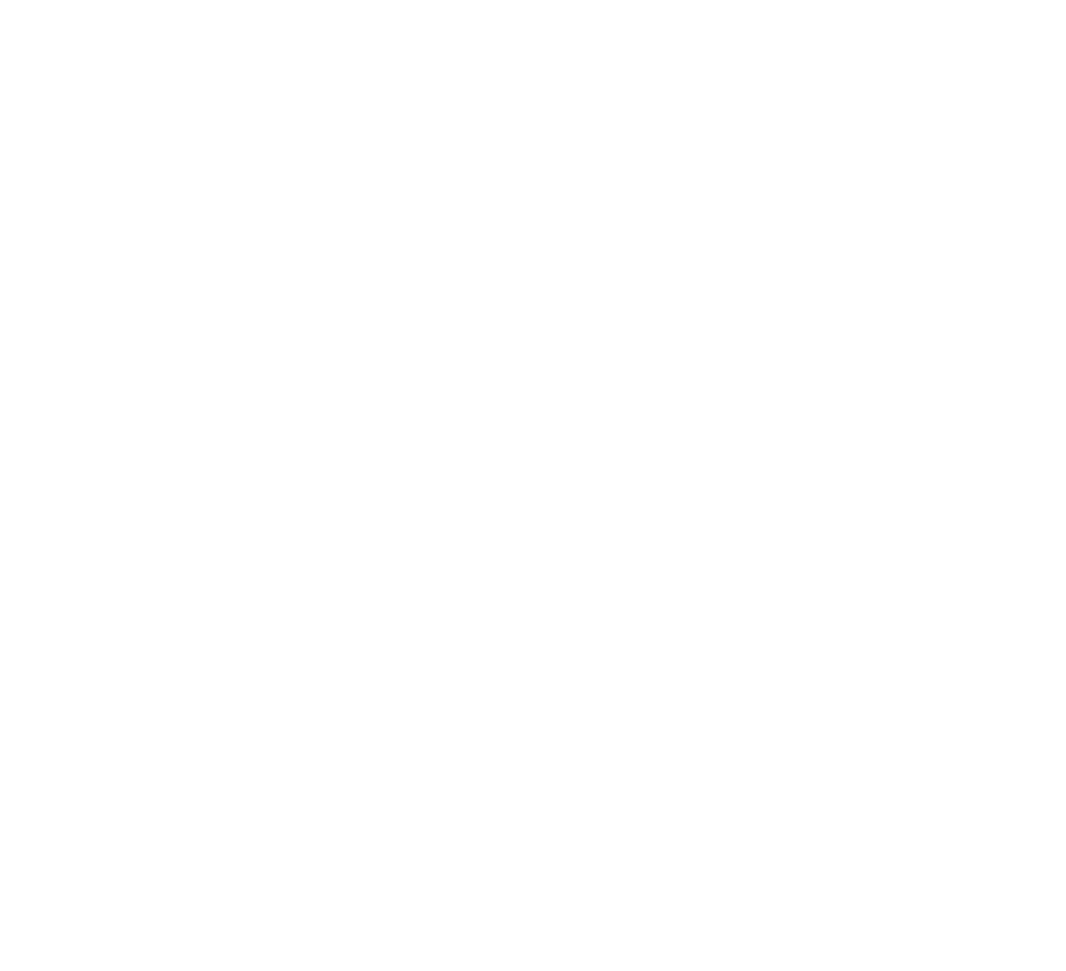 The Riot and the Dance