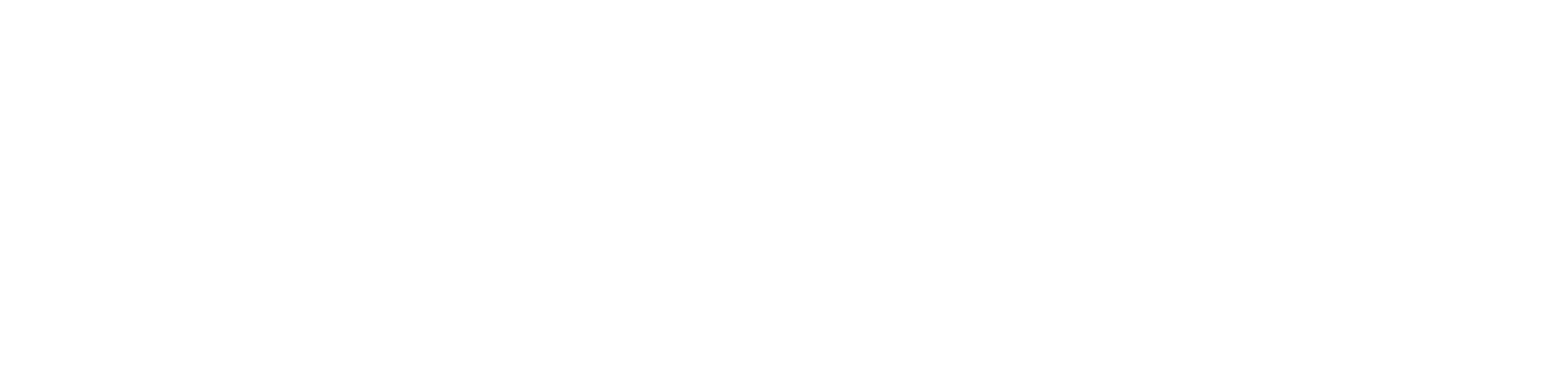 The Last Champion