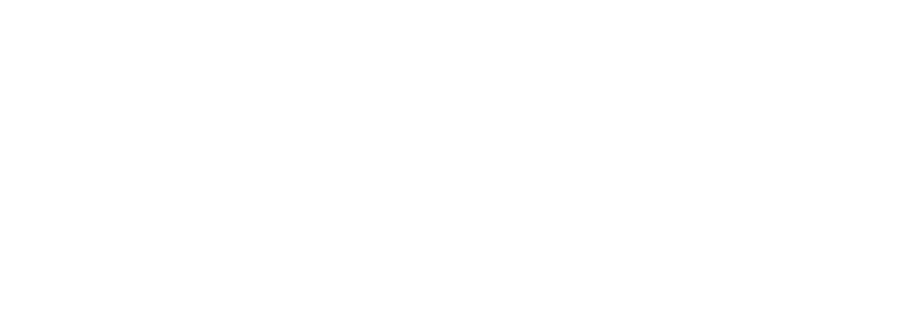 The Stray
