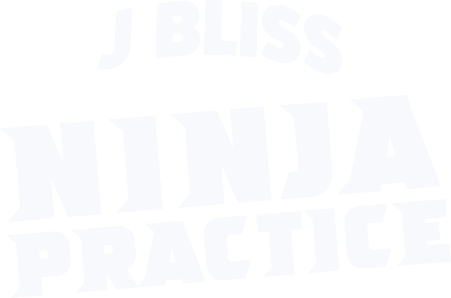 J Bliss - Ninja Practice