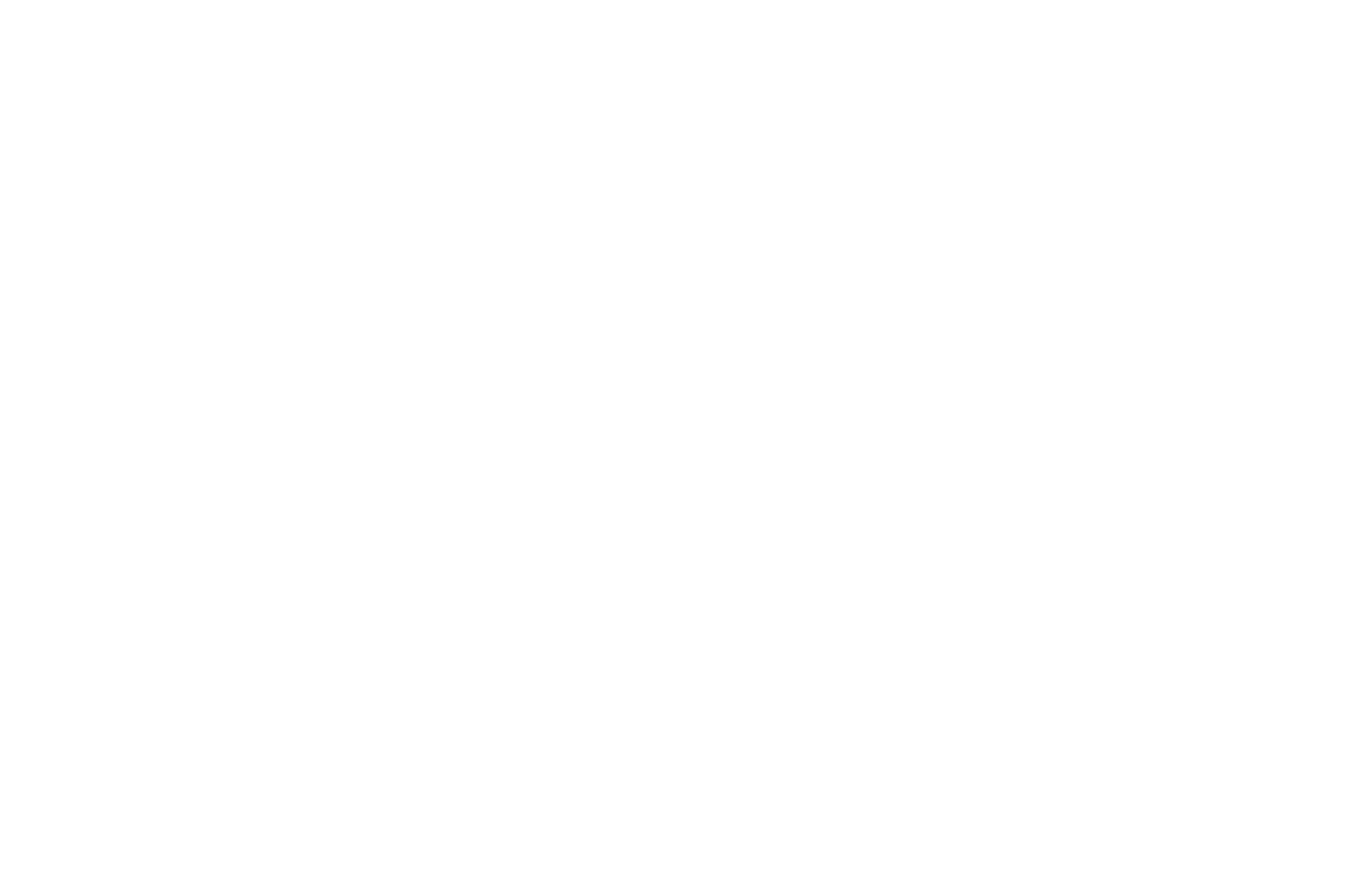 Mike Guido - ﻿Sanity Optional