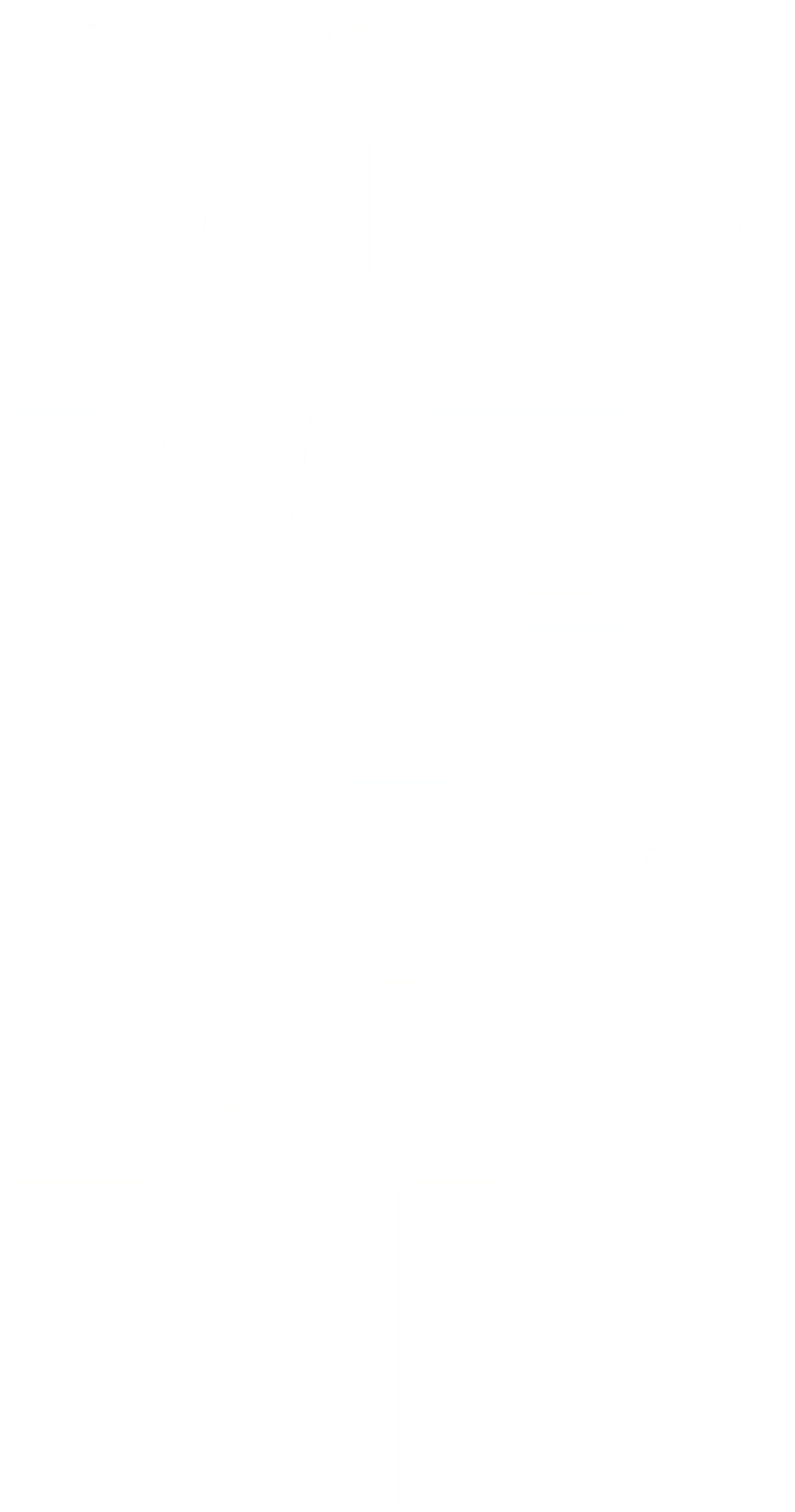 Steve Soelberg - We Say Bim