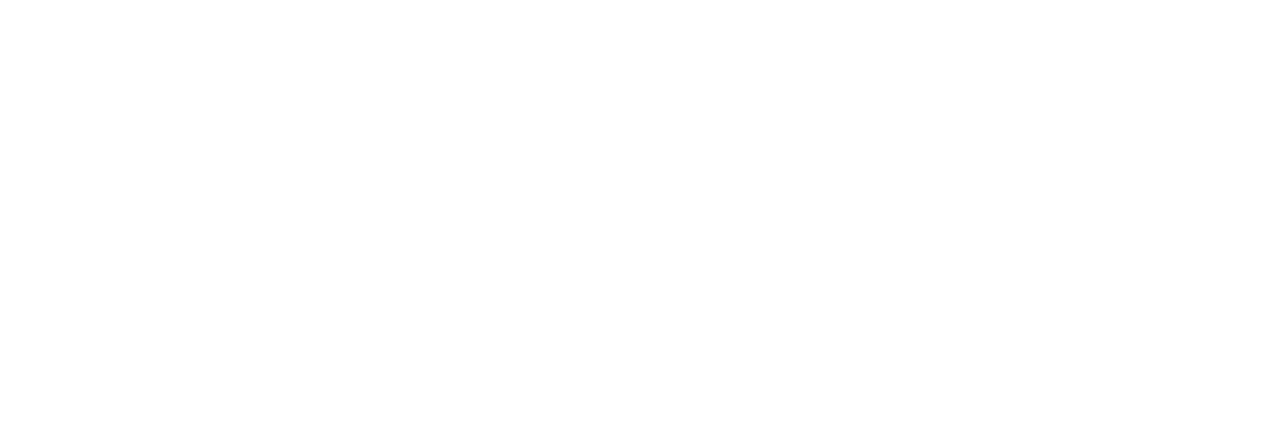 Tim Homayoon - Ex Boy Scout